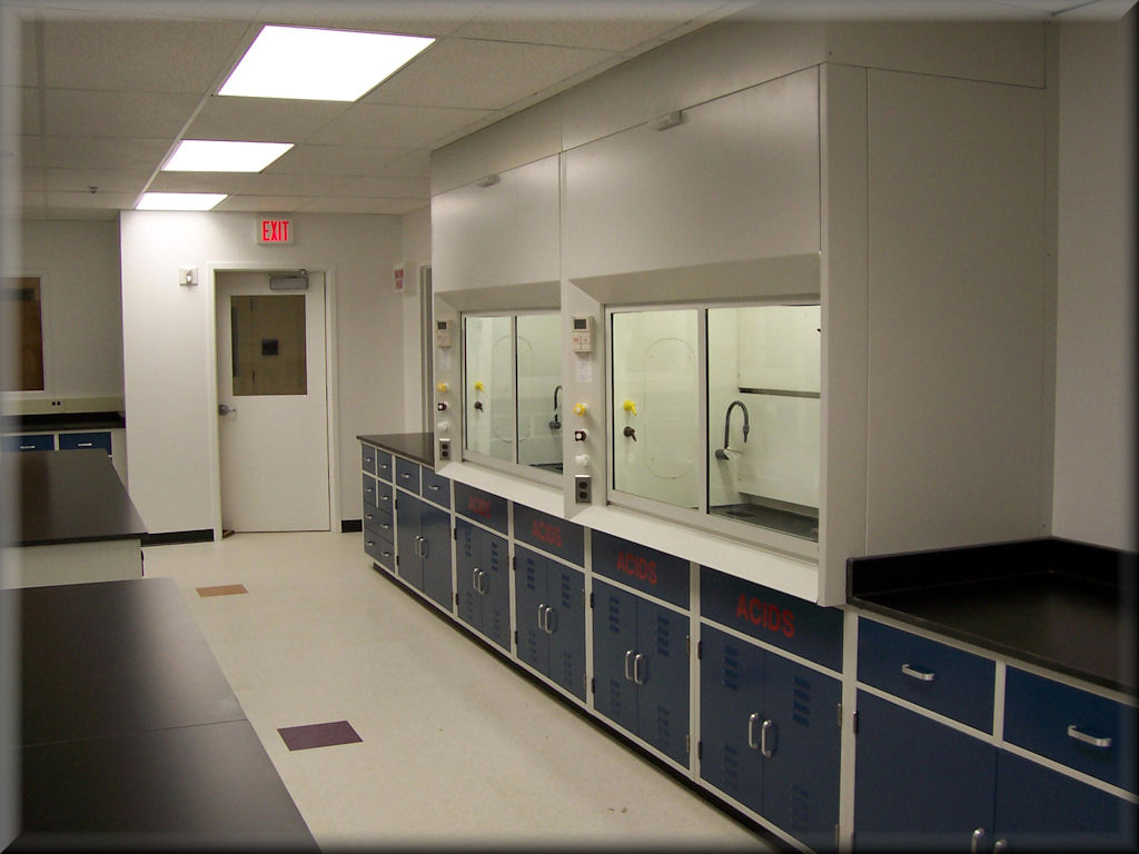 CA Style Fume Hoods