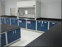 CA Style Fume Hoods - Laboratory Hood