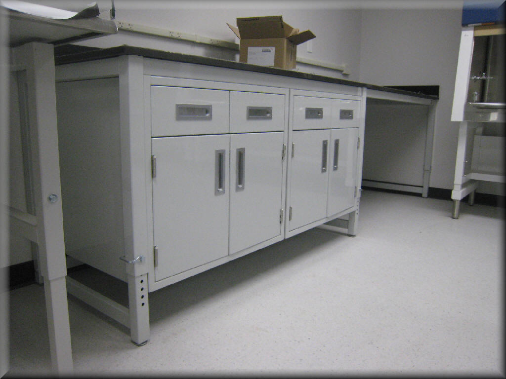 Laboratory Casework, Lab Cabinets for Sale by RDM