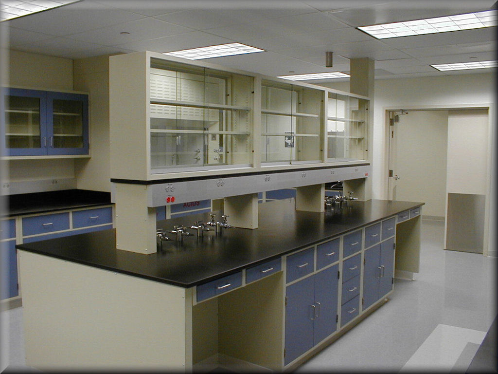 Rdm Laboratory Casework Sample Layouts