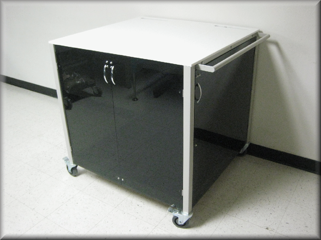 Custom Cart with Doors
