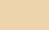 Epoxy Resin - Tan