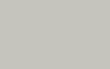 RDM Paint Finish - Platinum