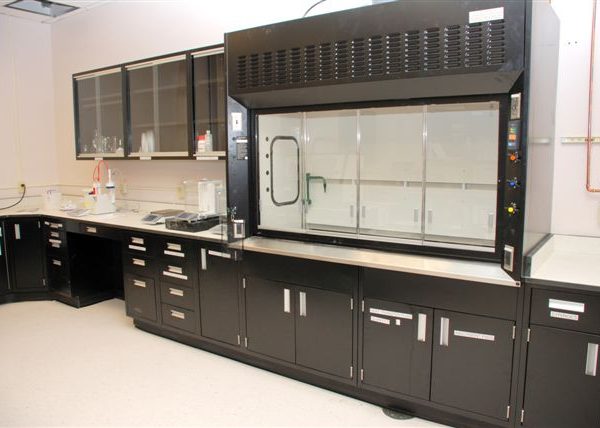 RDM LAB FUME HOODS & CASEWORK - BLACK FINISH