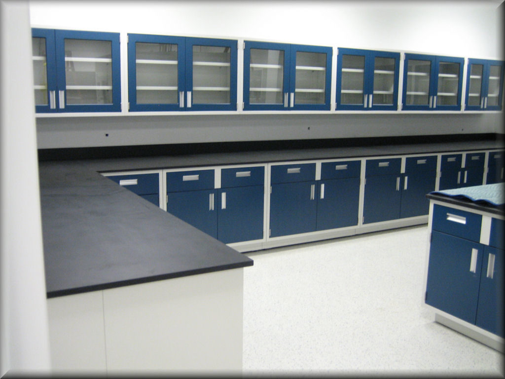 Metal Laboratory Cabinets / Laboratory Casework & Countertops